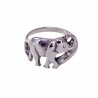 Sortija elefante