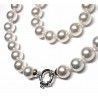 Gargantilla perla shell 31 perlas